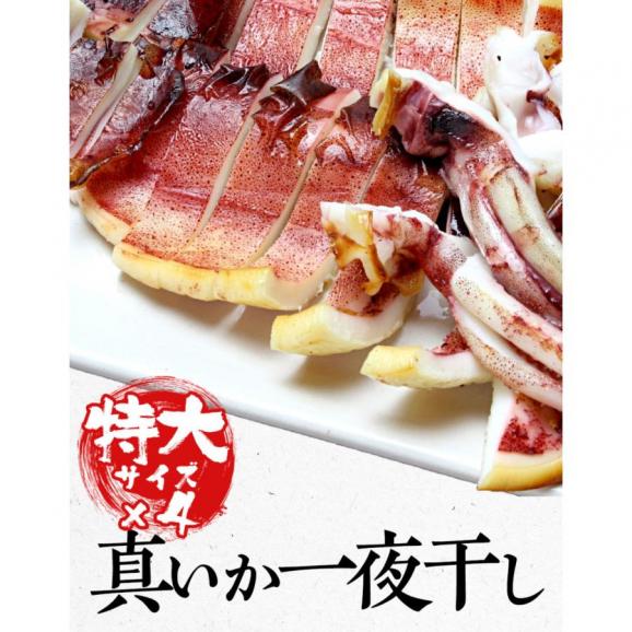 真いか 一夜干し 特大サイズ4枚 国内産 スルメイカ 烏賊 やわらか 在宅 母の日 父の日 敬老 中元 お歳暮 ギフト02