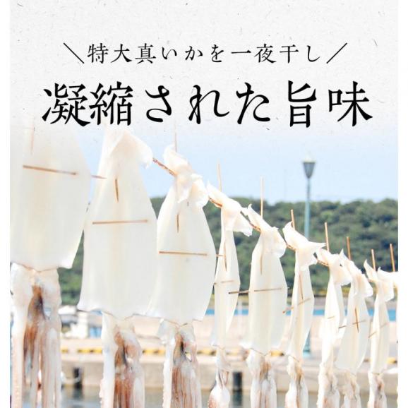 真いか 一夜干し 特大サイズ4枚 国内産 スルメイカ 烏賊 やわらか 在宅 母の日 父の日 敬老 中元 お歳暮 ギフト03