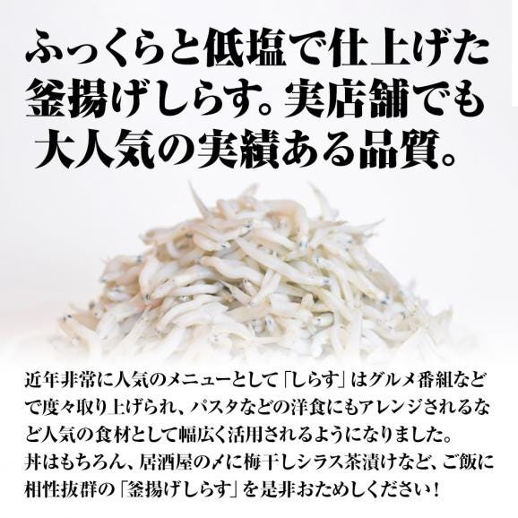 釜揚げしらす 1kg メガ盛り シラス しらす干し ちりめん じゃこ 送料無料 国産 ピザ パスタ しらす丼 魚介 海鮮02