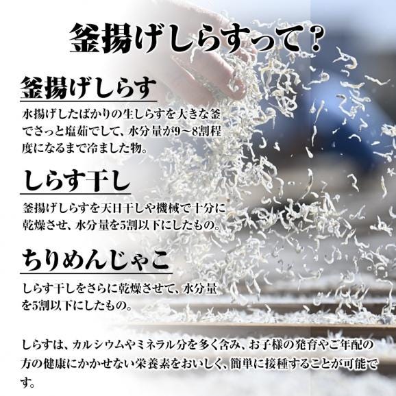 釜揚げしらす 1kg メガ盛り シラス しらす干し ちりめん じゃこ 送料無料 国産 ピザ パスタ しらす丼 魚介 海鮮03