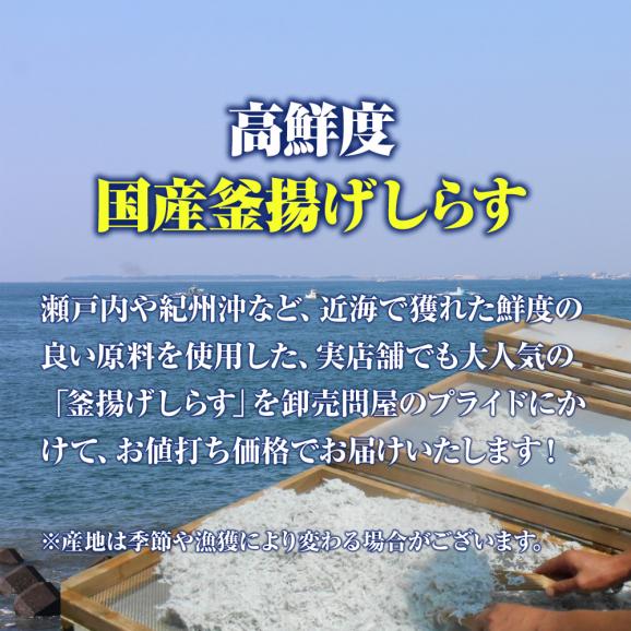釜揚げしらす 1kg メガ盛り シラス しらす干し ちりめん じゃこ 送料無料 国産 ピザ パスタ しらす丼 魚介 海鮮04