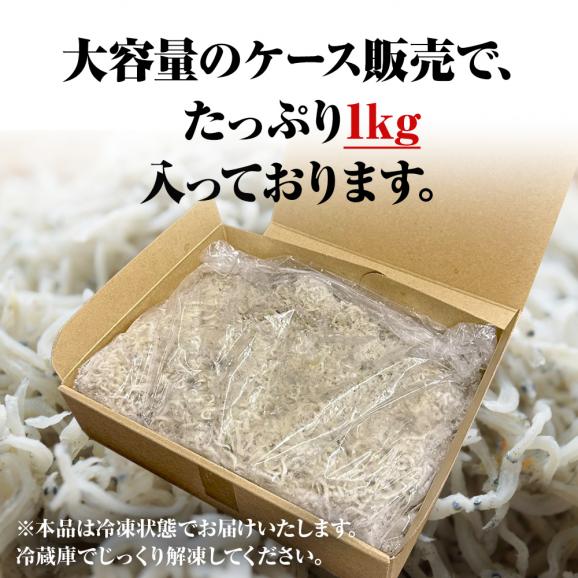 釜揚げしらす 1kg メガ盛り シラス しらす干し ちりめん じゃこ 送料無料 国産 ピザ パスタ しらす丼 魚介 海鮮05