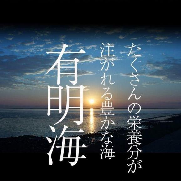 有明産 高級焼き海苔 全型計25枚 訳あり メール便 365日配送 鮨屋ご用達 のり 恵方巻 巻きずし おにぎり 海苔巻き05