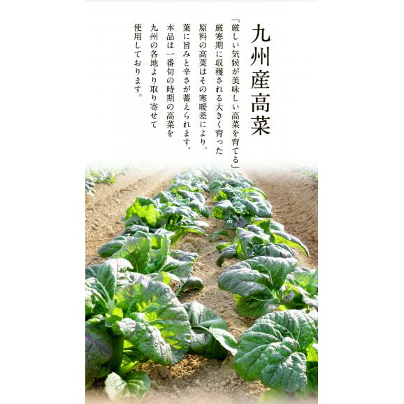 ★今だけ2セット購入で1パックおまけ★ 魚屋こだわりのちりめん高菜 90g×2パック 国産ちりめんと九州産高菜使用 ご飯のお供 食品 おかず お弁当04