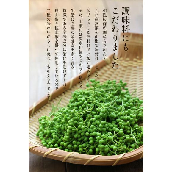★今だけ2セット購入で1パックおまけ★ 魚屋こだわりのちりめん高菜 90g×2パック 国産ちりめんと九州産高菜使用 ご飯のお供 食品 おかず お弁当05