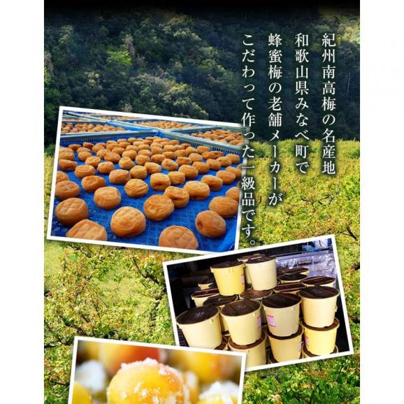 紀州南高梅使用はねだし梅 はちみつ梅 350g 塩分8％ 追跡可能メール便 送料無料 梅干し 梅干 つぶれ梅 お取り寄せ お試し05