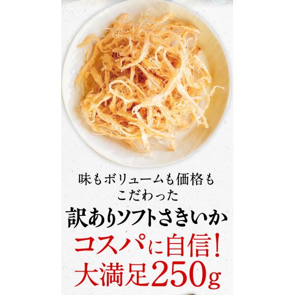 ソフト さきいか 珍味 250g 訳アリ 訳あり おつまみ 酒の肴 メール便 母の日 父の日 敬老04