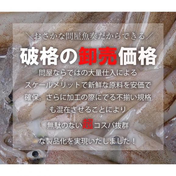 イカ燻製 いか燻製 200g いかくん 訳あり 破格 メガ盛り 珍味 酒の肴 在宅 おつまみ ギフト 家飲み メール便05