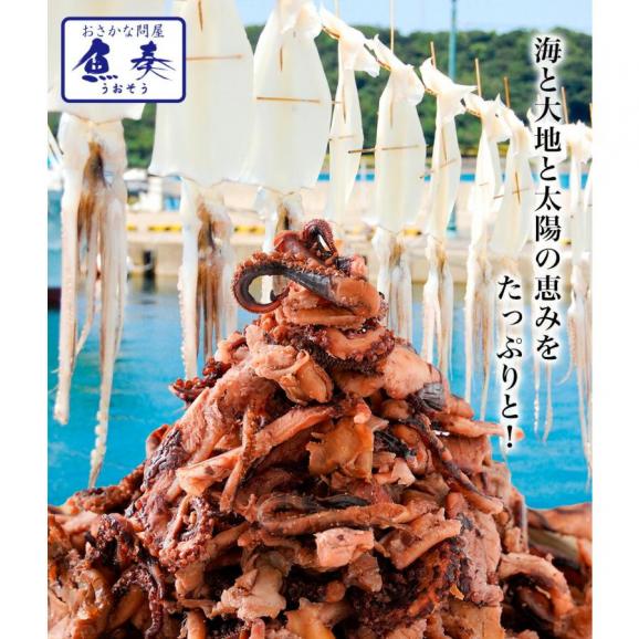 げそ燻製 げそくん 訳あり 下足 ゲソ メガ盛り 珍味 200g いかげそ 酒の肴 在宅 おつまみ ギフト 家飲み メール便02