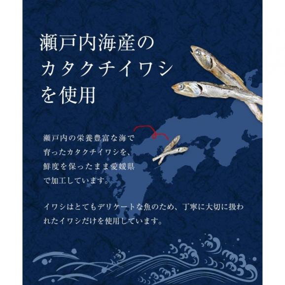 瀬戸内海産 アーモンド小魚 320g 大容量 メガ盛り 珍味 アーモンド 365日配送 メール便 酒の肴 在宅 おつまみ 家飲み おやつ イワシ いわし 鰯06