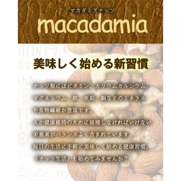 素焼きマカダミアナッツ 無塩 無添加 ナッツ メガ盛り 400g メール便 ロースト 家飲み おつまみ 保存食 訳あり 母の日 父の日02