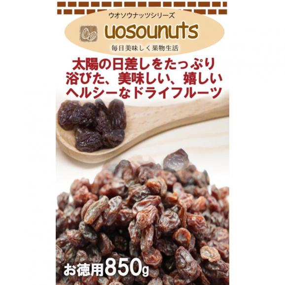 ドライフルーツ　レーズン 850g メガ盛り 送料無料 メール便 お徳用 干し葡萄 カリフォルニア ドライフルーツ ぶどう 保存 訳あり 母の日 父の日05