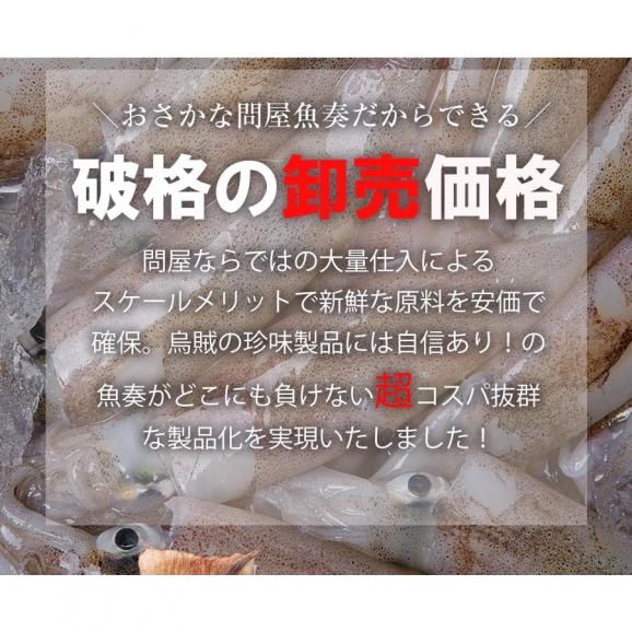 炙りさきいか サキイカ メガ盛り 200g メール便 送料無料 訳あり 酒の肴 するめ スルメ 在宅 おつまみ05