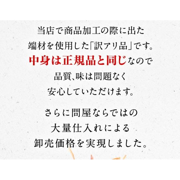 いかそうめん   600g 訳あり イカ 珍味 最安値挑戦 メガ盛り 酒の肴 在宅 おつまみ メール便03