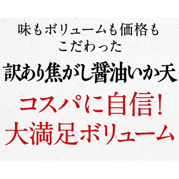焦がし醤油 イカ天 200g 訳あり メガ盛り サクサク いか天 イカ 珍味 最安値挑戦 酒の肴 在宅 おつまみ05