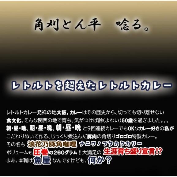 浪花乃豚角カリー ナニワノブタカクカリー 1パック 260g レトルト カレー メール便 豚角煮 ポークカレー 大盛02