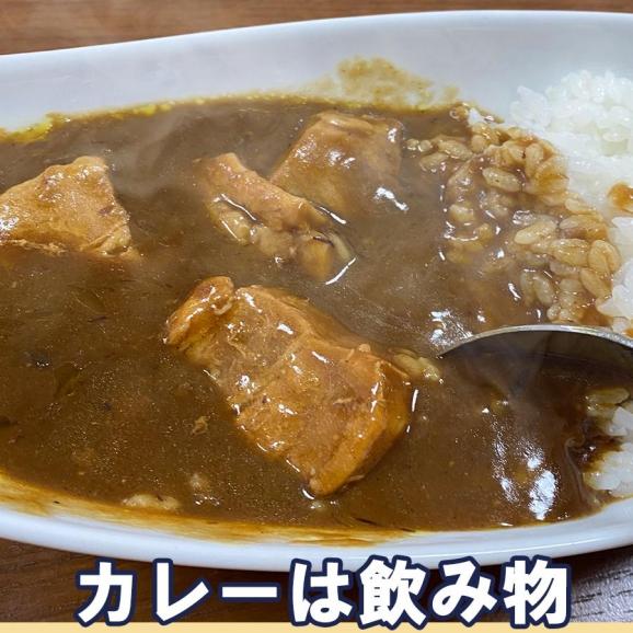 浪花乃豚角カリー ナニワノブタカクカリー 1パック 260g レトルト カレー メール便 豚角煮 ポークカレー 大盛05