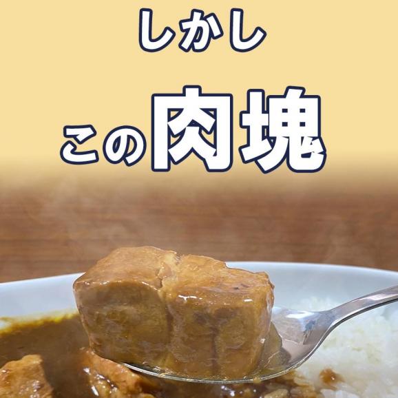 浪花乃豚角カリー ナニワノブタカクカリー 1パック 260g レトルト カレー メール便 豚角煮 ポークカレー 大盛06