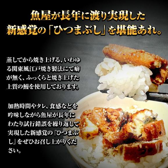 ひつまぶし 100g レトルト きざみうなぎ ウナギ 鰻 常温保存可能 送料無料 メール便 お茶漬け うなぎ丼 土用の丑02
