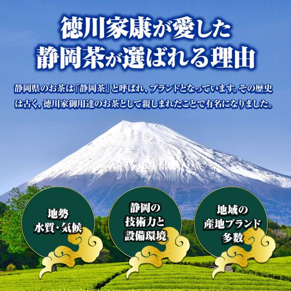 抹茶パウダー 70ｇ 静岡茶 深蒸し茶 日本茶 抹茶 製菓 お茶 おちゃ カテキン 送料無料 メール便 春野 ふじた園03