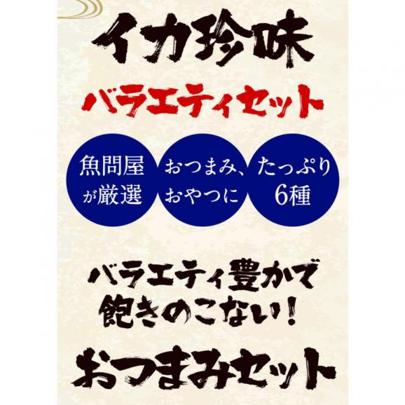 イカ珍味 バラエティセット 6品 1.25kg 訳あり するめ あたりめ イカ 珍味 父の日 メガ盛り 酒の肴 在宅 おつまみ04