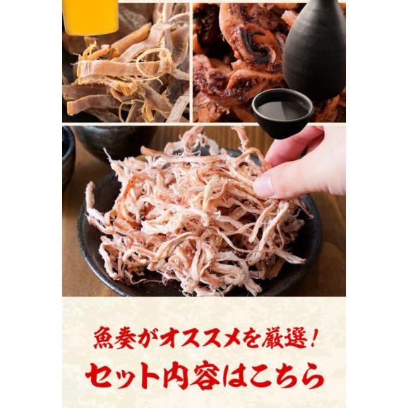 イカ珍味 バラエティセット 6品 1.25kg 訳あり するめ あたりめ イカ 珍味 父の日 メガ盛り 酒の肴 在宅 おつまみ06
