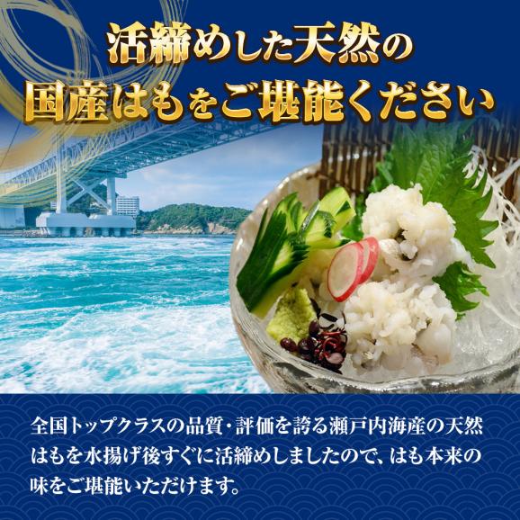 はも湯引き 500ｇ 送料無料 はも ハモ 鱧 おとし鱧 はもちり 活鱧 瀬戸内産 天然 国産 鱧ちり 湯引き 落し 無添加 無漂白 骨切 旬04