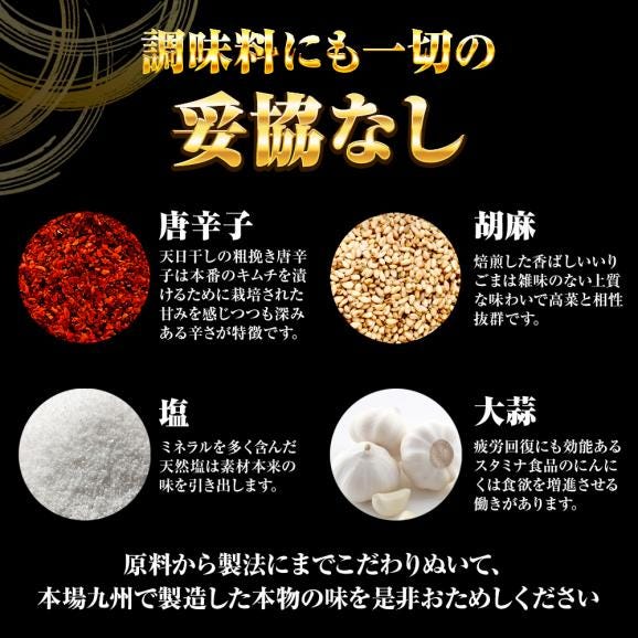 魚屋の明太高菜 1kg 送料無料 辛子高菜 たかな タカナ 高菜 めんたいこ 明太子 メンタイコ 九州 博多 明太子 業務用 大容量06