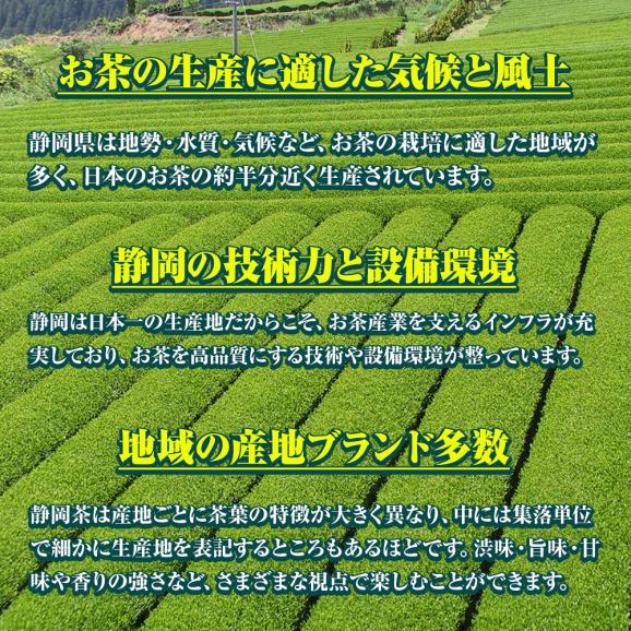 抹茶パウダー 70g×2パック 静岡茶 深蒸し茶 日本茶 抹茶 製菓 お茶 おちゃ カテキン 送料無料 メール便 春野 ふじた園04