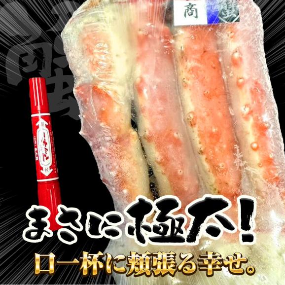 超特大ボイルたらばがに 7L 約1500g×2パック 極太 セクション 1 超特大ボイルたらばがに 7L 約1500g×2パック 極太 セクション 1