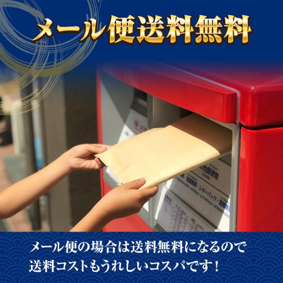 ツナマヨネーズ 300ｇ メール便 送料無料 ツナ つな 業務用 国内製造 サラダ巻 ツナサラダ ツナマヨ まぐろ マグロ 鮪 ツナサラダ まぐろ味付け フレーク ツナフィリング04