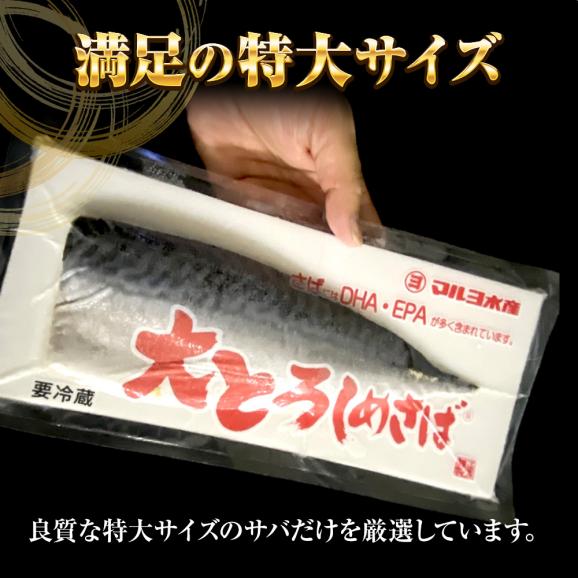 大とろしめさば 12パック(1枚真空)  ケース販売 送料無料 特大サイズ 締めさば 〆さば 鯖 サバ 大トロ 秋サバ 秋さば 秋鯖 マルヨ マルヨ水産 農林水産大臣賞受賞							05