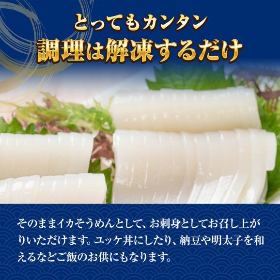 まついか糸造り 1パック（250ｇ） いか イカ 烏賊 5柵（3～5人前） いか刺身 いか造り イカ糸づくり マツイカ イカ糸造り ヤマカ食品 送料無料05