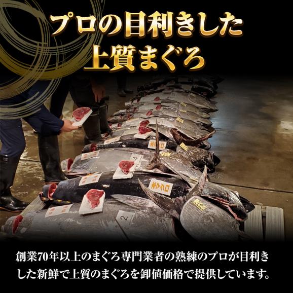 本まぐろ中トロ 柵 1kg まぐろ マグロ 鮪 短冊 蓄養 地中海 本マグロ 本鮪 黒まぐろ 黒マグロ クロマグロ 中とろ 上品 黒鮪 送料無料04