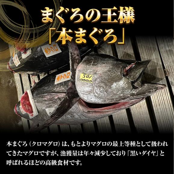 本まぐろ中トロ 柵 1kg まぐろ マグロ 鮪 短冊 蓄養 地中海 本マグロ 本鮪 黒まぐろ 黒マグロ クロマグロ 中とろ 上品 黒鮪 送料無料05