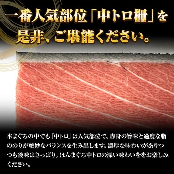本まぐろ中トロ 柵 1kg まぐろ マグロ 鮪 短冊 蓄養 地中海 本マグロ 本鮪 黒まぐろ 黒マグロ クロマグロ 中とろ 上品 黒鮪 送料無料06