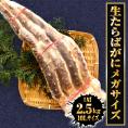 メガサイズ 生たらばかに 10Ｌ なんと約2500ｇ 超極太 セクション 1肩 特大サイズ かに カニ 蟹 シュリンク たらば タラバ タラバガニ たらばがに 送料無料