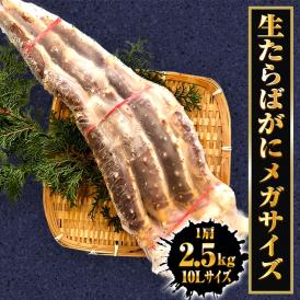 メガサイズ 生たらばかに 10Ｌ なんと約2500ｇ 超極太 セクション 1肩 特大サイズ かに カニ 蟹 シュリンク たらば タラバ タラバガニ たらばがに 送料無料
