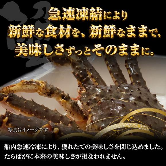 メガサイズ 生たらばかに 10Ｌ なんと約2500ｇ 超極太 セクション 1肩 特大サイズ かに カニ 蟹 シュリンク たらば タラバ タラバガニ たらばがに 送料無料05