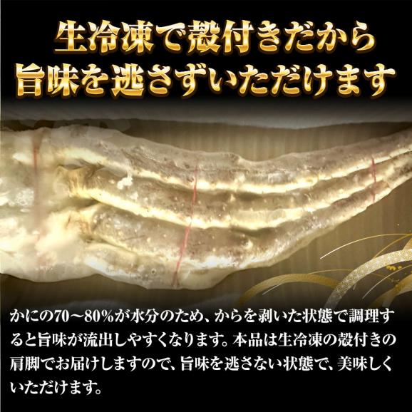 メガサイズ 生たらばかに 10Ｌ なんと約2500ｇ 超極太 セクション 1肩 特大サイズ かに カニ 蟹 シュリンク たらば タラバ タラバガニ たらばがに 送料無料06