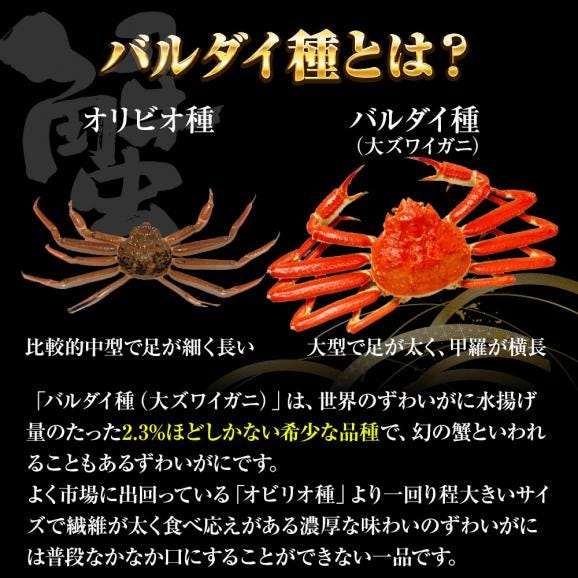 冷凍 ずわいかに カット済み 5R 2kg バルダイ 特大サイズ かに カニ 蟹 ニッスイ 青箱 ズワイガニ ずわい蟹 ずわいがに 鮮凍かに 送料無料06