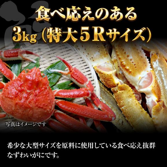 冷凍 ずわいかにセクション 5R 3kg 7肩 バルダイ 特大サイズ かに カニ 蟹 ニッスイ 青箱 ズワイガニ ずわい蟹 ずわいがに 鮮凍かに 送料無料03
