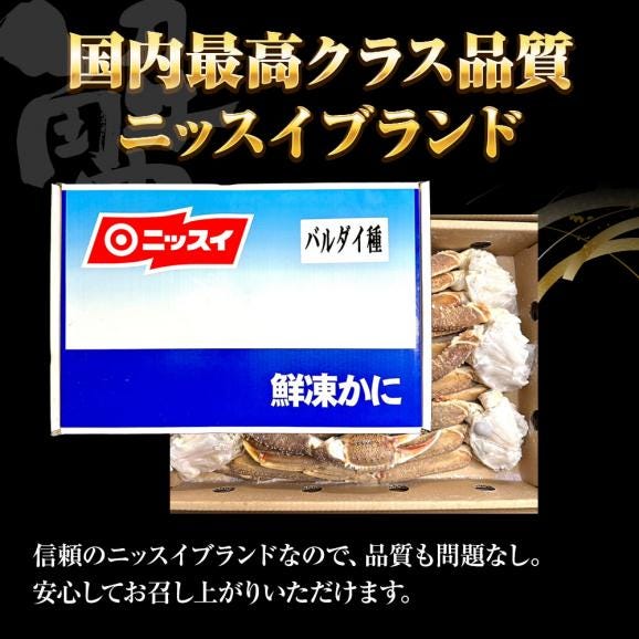 冷凍 ずわいかにセクション 5R 3kg 7肩 バルダイ 特大サイズ かに カニ 蟹 ニッスイ 青箱 ズワイガニ ずわい蟹 ずわいがに 鮮凍かに 送料無料04