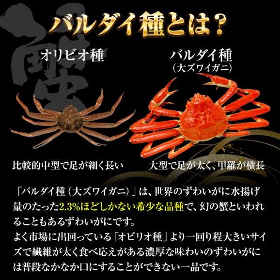 冷凍 ずわいかにセクション 5R 3kg 7肩 バルダイ 特大サイズ かに カニ 蟹 ニッスイ 青箱 ズワイガニ ずわい蟹 ずわいがに 鮮凍かに 送料無料05