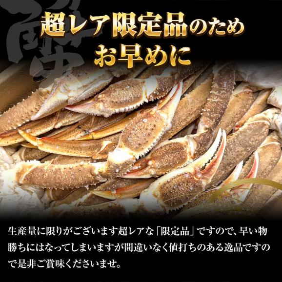 冷凍 ずわいかにセクション 5R 3kg 7肩 バルダイ 特大サイズ かに カニ 蟹 ニッスイ 青箱 ズワイガニ ずわい蟹 ずわいがに 鮮凍かに 送料無料06