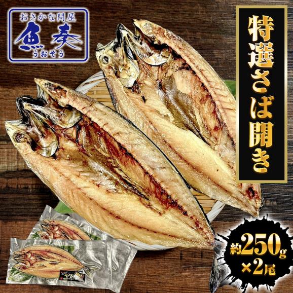 特選さば開き 2枚（1尾約250ｇ&times;2）1枚真空 笹の葉入りトロさば サバ開きさば サバ 鯖 一夜干し 干物 トロさば とろサバ 丸安 ノルウェー産 トロサバ 送料無料01