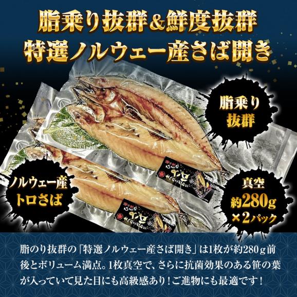 特選さば開き 2枚（1尾約280ｇ×2）1枚真空 笹の葉入りトロさば サバ開きさば サバ 鯖 一夜干し 干物 トロさば とろサバ 丸安 ノルウェー産 トロサバ 送料無料02