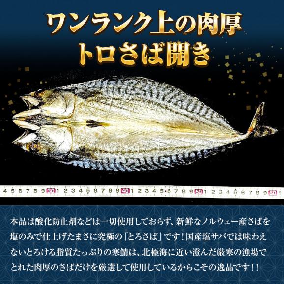 特選さば開き 2枚（1尾約280ｇ×2）1枚真空 笹の葉入りトロさば サバ開きさば サバ 鯖 一夜干し 干物 トロさば とろサバ 丸安 ノルウェー産 トロサバ 送料無料03