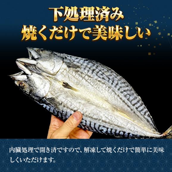 特選さば開き 2枚（1尾約280ｇ×2）1枚真空 笹の葉入りトロさば サバ開きさば サバ 鯖 一夜干し 干物 トロさば とろサバ 丸安 ノルウェー産 トロサバ 送料無料05