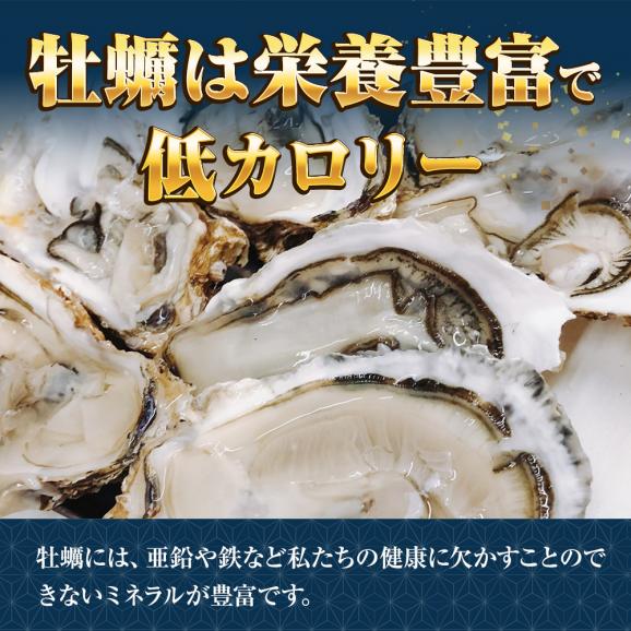 広島産 殻付き牡蠣 訳あり 7キロ(約75個) カンカン焼き カキ かき 宮島 BBQ ナイフ 軍手付 ギフト 取り寄せ05